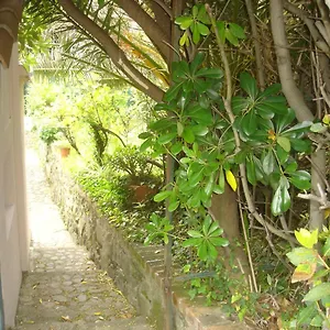 Sunflower Cosy - Il Girasole , Monterosso al Mare Italy